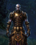 GRID THUMBNAIL — An undead, skull-faced figure in gilded, ornate plate armour stands front-facing against a shadowy forest backdrop, gleaming with cold moonlit highlights.